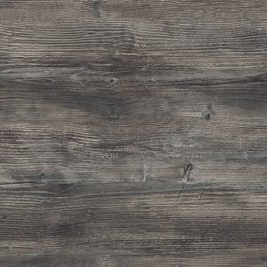 сосна Джексон